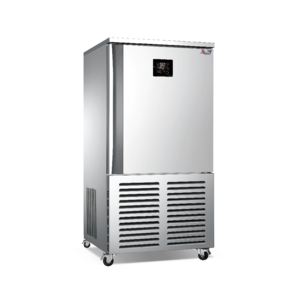 BL-SCE10